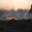 Más de 335 mil hectáreas quemadas por los incendios forestales en Corrientes