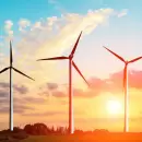 Furor renovable por la demanda sustentable de las empresas