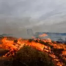 Desastre en Corrientes: incendios ya arrasaron con más de 500.000 hectáreas y evacuan hotel de una cadena internacional y viviendas