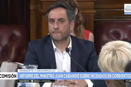 Juan Cabandié exponiendo ante el Senado