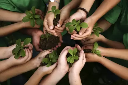 La educación ambiental nos atañe a todos y todas, dentro y fuera de las aulas