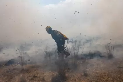 Los incendios en Corrientes se encuentran "controlados" y quedan 10 focos que no