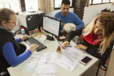 Cómo obtener el Certificado Veterinario Internacional para viajar con perros y gatos