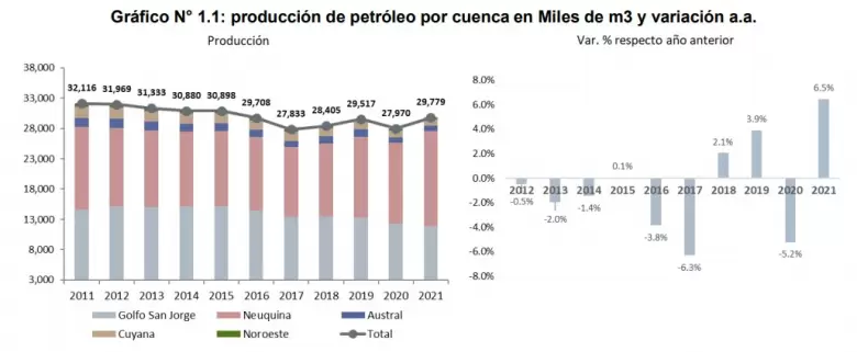 Informe anual de hidrocarburos en Argentina (Petróleo)
