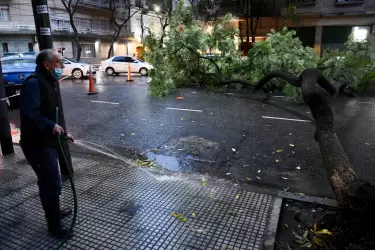 Los fuertes vientos y las lluvias que cayeron esta madrugada en la ciudad de Buenos Aires ocasionaron la caída de árboles y postes de luz.