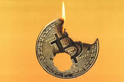 WMF comenz a aceptar donaciones de Bitcoin, Bitcoin Cash y Ether en 2014.