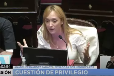 La vicepresidenta del interbloque del Frente de Todos, Anabel Fernández Sagasti, pidió la palabra para plantear una cuestión de privilegio.