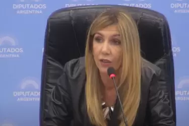 Patricia García Blanco en el plenario de las comisiones de Asuntos Constitucionales, Justicia y Presupuesto de la Cámara de Diputados.