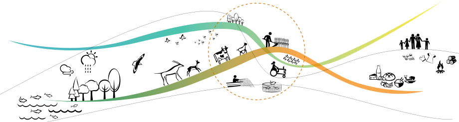 sustainability_figure1_01