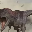 Un equipo científico halló en Neuquén uno de los dinosaurios carnívoros de mayor tamaño registrado