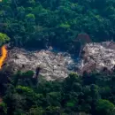 La deforestación se dispara en Brasil