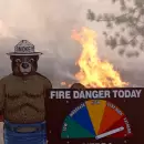 El incendio en California ya consumió más de 7.000 hectáreas de bosques y sigue avanzando "muy rápido"