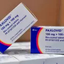 Pfizer: ventas aumentan a un nivel récord, impulsadas por vacuna Covid y antiviral Paxlovid