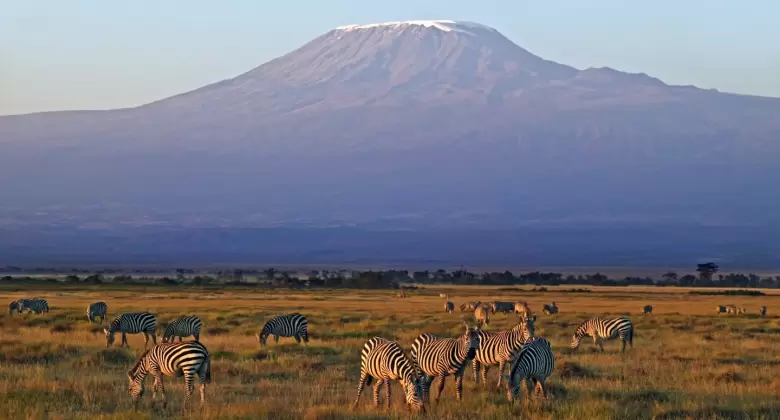 Trekking al Kilimanjaro - Tanzania - Foro África del Este