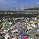 ¿Cómo cambiar nuestra relación con el plástico?