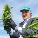 El aceite de cannabis medicinal que produce la empresa estatal de Jujuy podrá venderse en todo el país