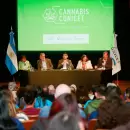 "Cannabis Conicet": la nueva apuesta para posicionar a Argentina en la ascendente industria cannábica