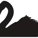 El mundo y el temor de que aparezcan más cisnes negros