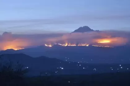 El riesgo de incendios forestales catastróficos ha crecido en el mundo como consecuencia del cambio climático