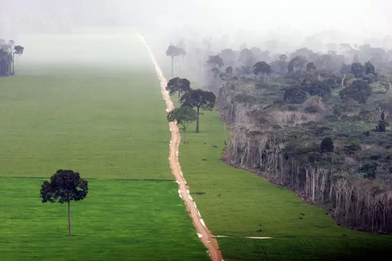 deforestation-of-isolated-brazil-nut-trees-to-make-way-for-a-soy-plantation-in-the-amazon-rainforest-near-santarem-1-august-2020.
