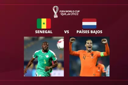 Partido del Grupo A: Senegal vs. Pases Bajos - Mundial de Qatar 2022