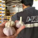 Detectan "trama de empresas fantasma" para evadir con exportaciones de pasas de uva, ciruelas y ajo
