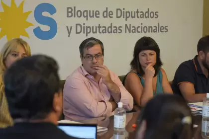 Carolina Gaillard preside la comisión y Germán Martínez, el bloque del FdT