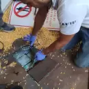 Encuentran 87 kilos de cocaína en un camión cargado con maíz que iba a Uruguay