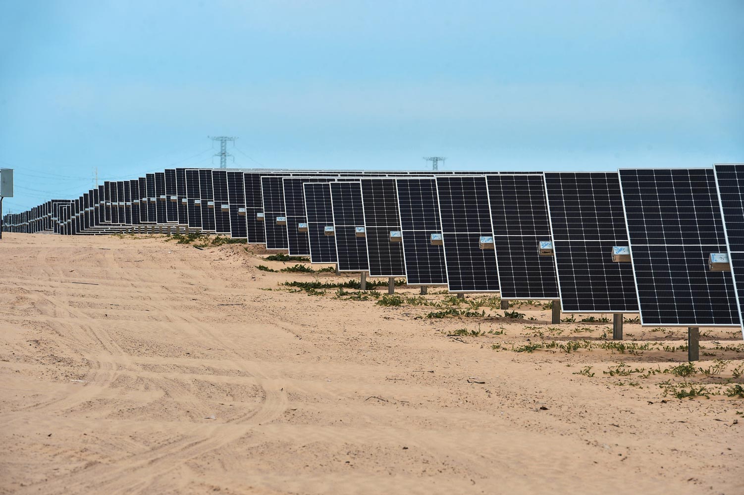 AMLO inauguró el parque solar más grande de América Latina: todos los detalles