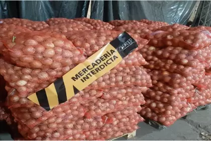 Allanamientos e incautaciones en operativos contra exportadores y productores fraudulentos de cebolla