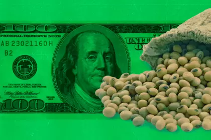 El agro no liquidó nada, el BCRA vendió US$ 197 millones y hay preocupación por el futuro del dólar soja III