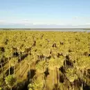 Nuevo Parque Nacional Laguna El Palmar con 5.600 hectreas: dnde queda