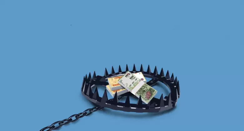 950x512 trampa de oso con pesos