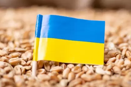 ¿Por cuánto tiempo se renovó el acuerdo de granos de Ucrania?