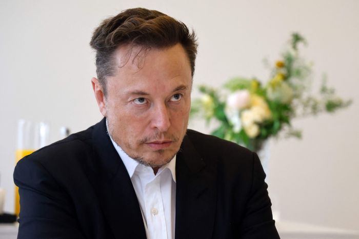 ¿Por qué a Elon Musk le preocupa la crisis de natalidad?