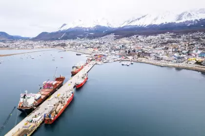 La falta de inversiones portuarias atenta contra la diversificación productiva en la Patagonia