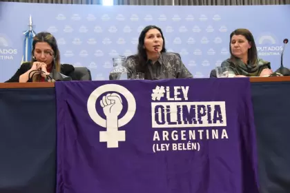 La Comisión de Mujeres y Diversidad es presidida por la diputada nacional del Frente de Todos (FdT) Mónica Macha