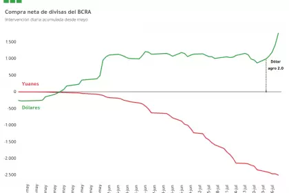 Yuanización total: el Banco Central utilizó 8.624 millones de la moneda china en julio