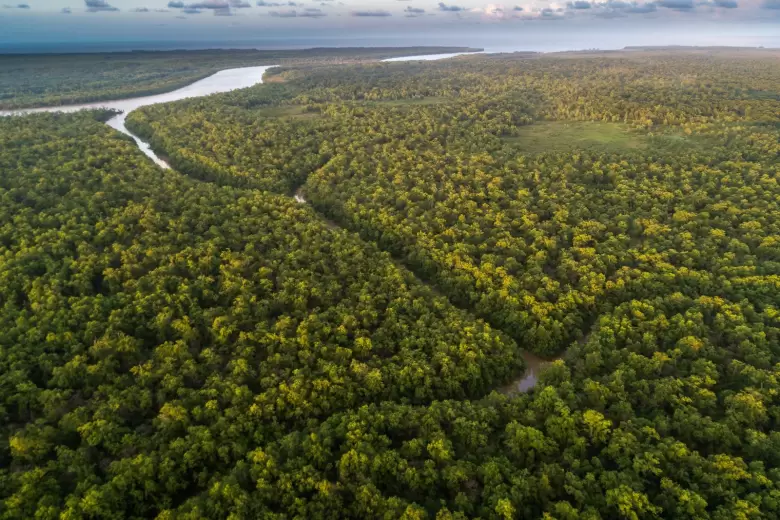amazonia