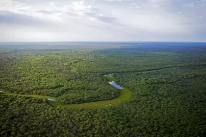 Desde 1985, 14 millones de hectáreas del Gran Chaco han sido deforestadas, y solo una pequeña parte está protegida actualmente