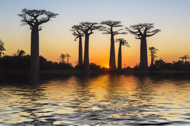 africa