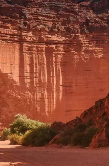 Parque Nacional Talampaya (Patrimonio Mundial por la UNESCO)