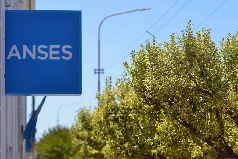 ANSES