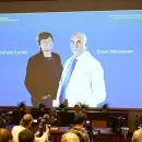 El Premio Nobel de Medicina 2023 fue para dos investigadores por la vacuna del Covid-19