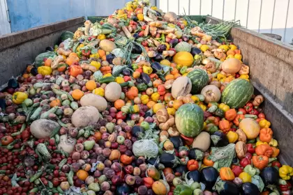 Desperdicios de alimentos: por año se desecha 30% de la producción