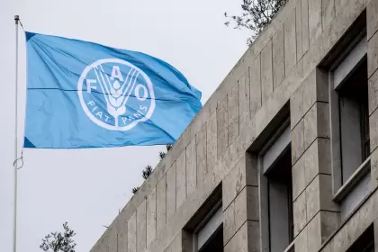 FAO: aniversario en un momento trascendental para la humanidad