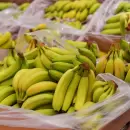 ¿Escasez de bananas? Paraguay y Bolivia suspenden envíos de fruta a la Argentina por deuda de US$ 22 millones