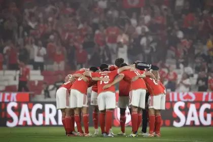 Benfica se ubica en la punta del torneo portugués junto con Sporting Lisboa, con 28 puntos