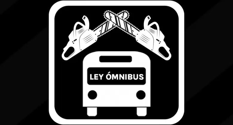 Ley mnibus