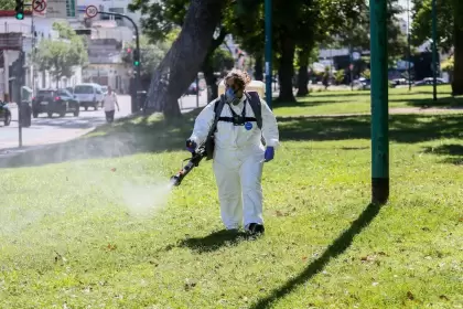 El ministro de Salud bonaerense, Nicolás Kreplak, anticipó que la epidemia de dengue va a durar hasta abril